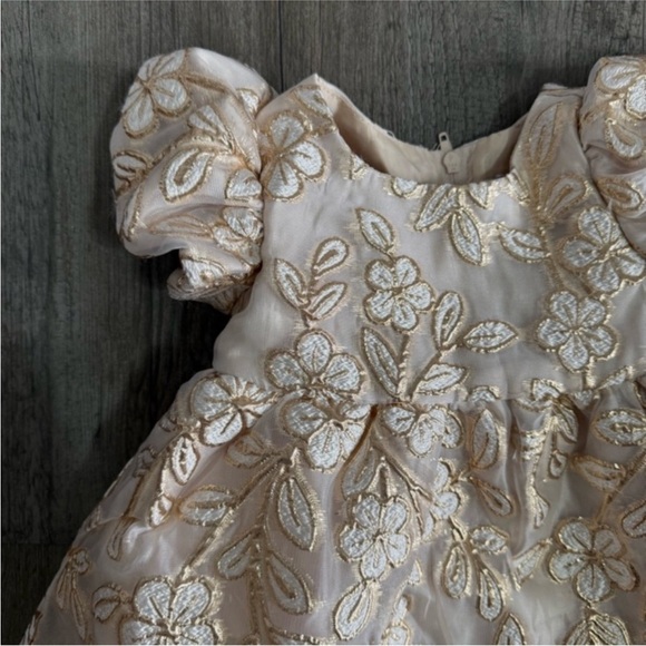 Rare Editions Gold Brocade Floral Burnout Organza Baby Girl Dress Bloomers NWT - Picture 3 of 6